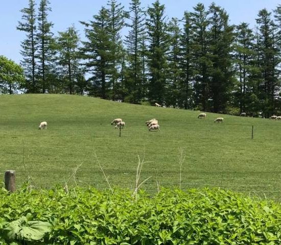 足寄の石田さんを訪ねて