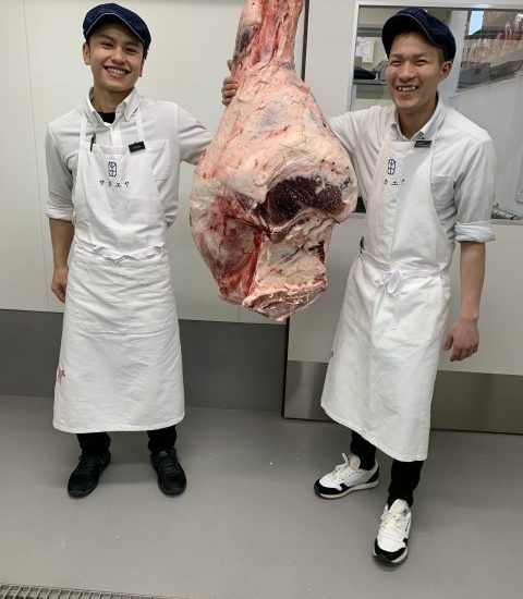 と畜解体と枝肉の捌き